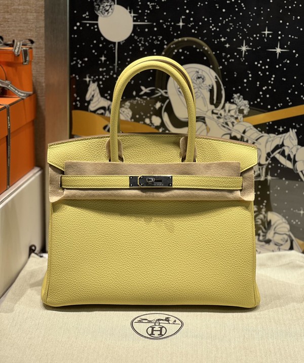 Hermes Birkin Bags Handbags Light Yellow Silver Hardware