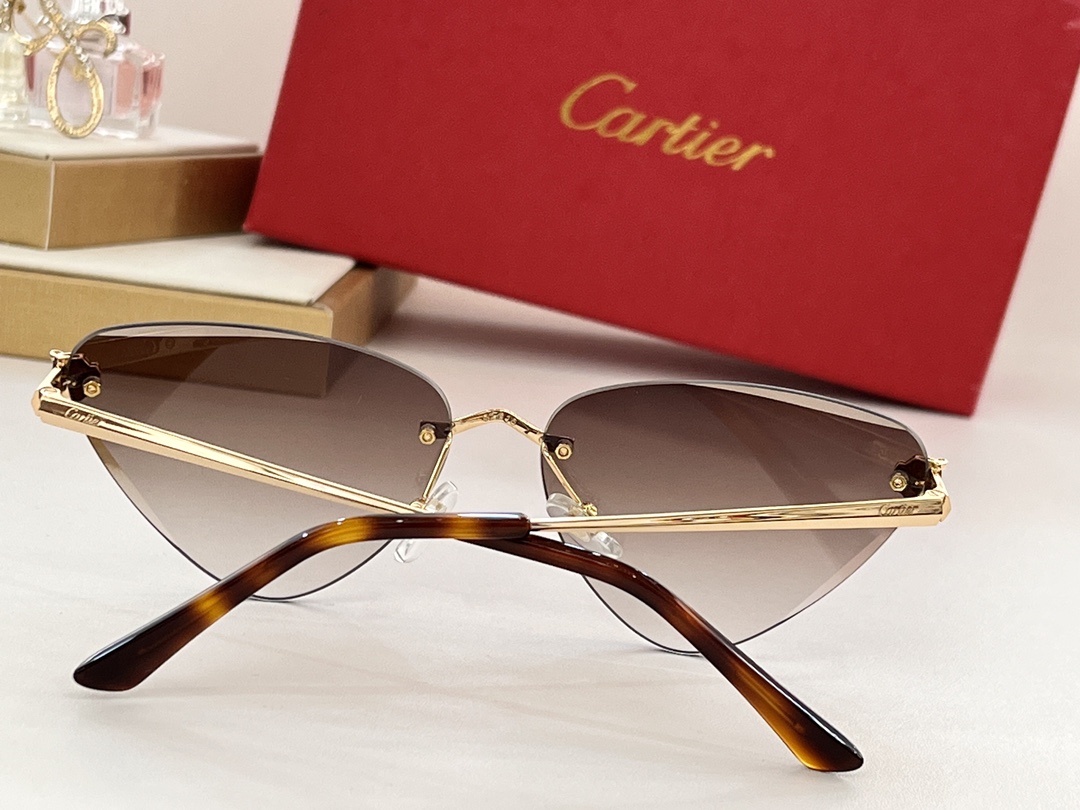  Cartie*
CT0399
size：62口15-145
