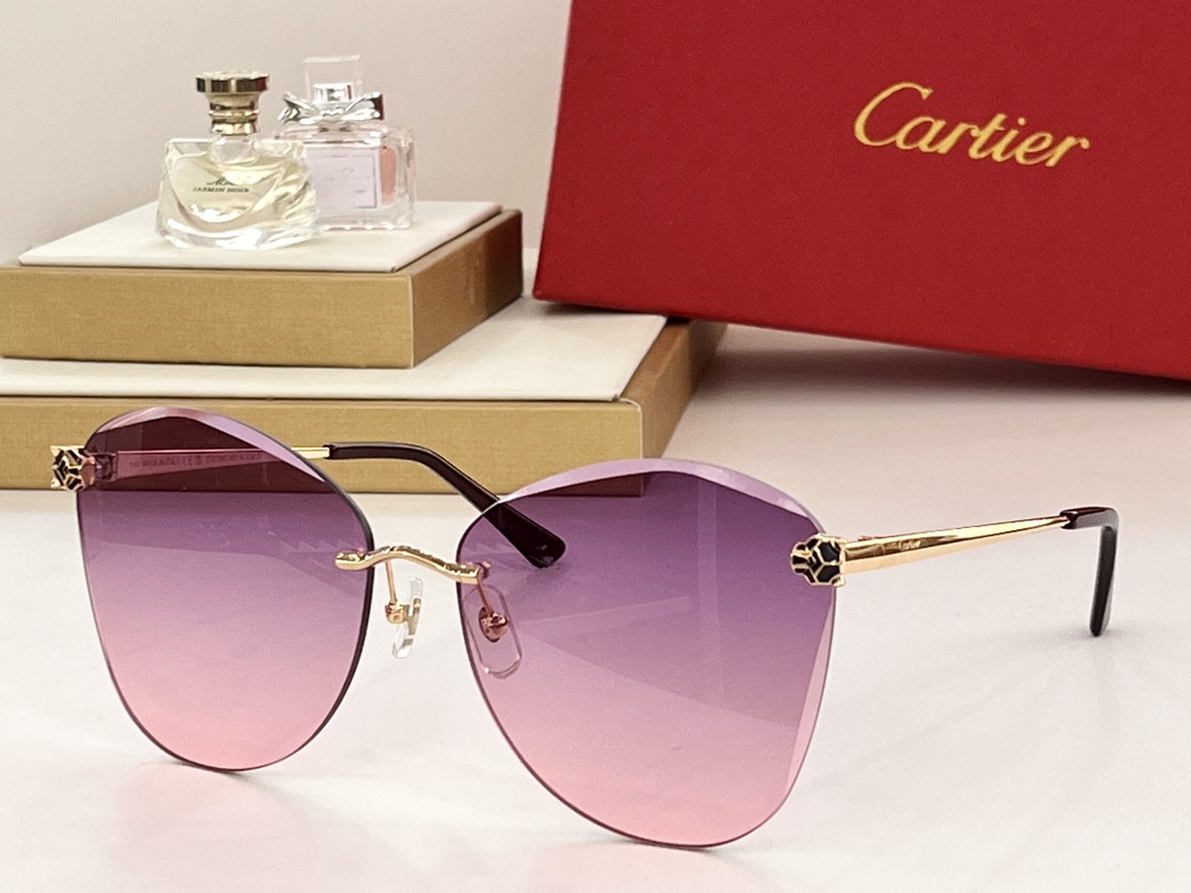 Cartier Occhiali da Sole Nylon