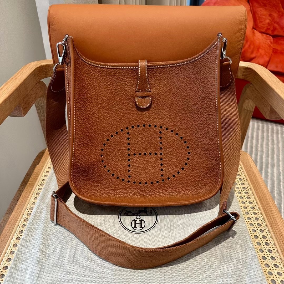 Elegant Evelyne 29cm Gold Emence Handmade Crossbody Bag with Silver Hardware 2 a1692286048735 0425