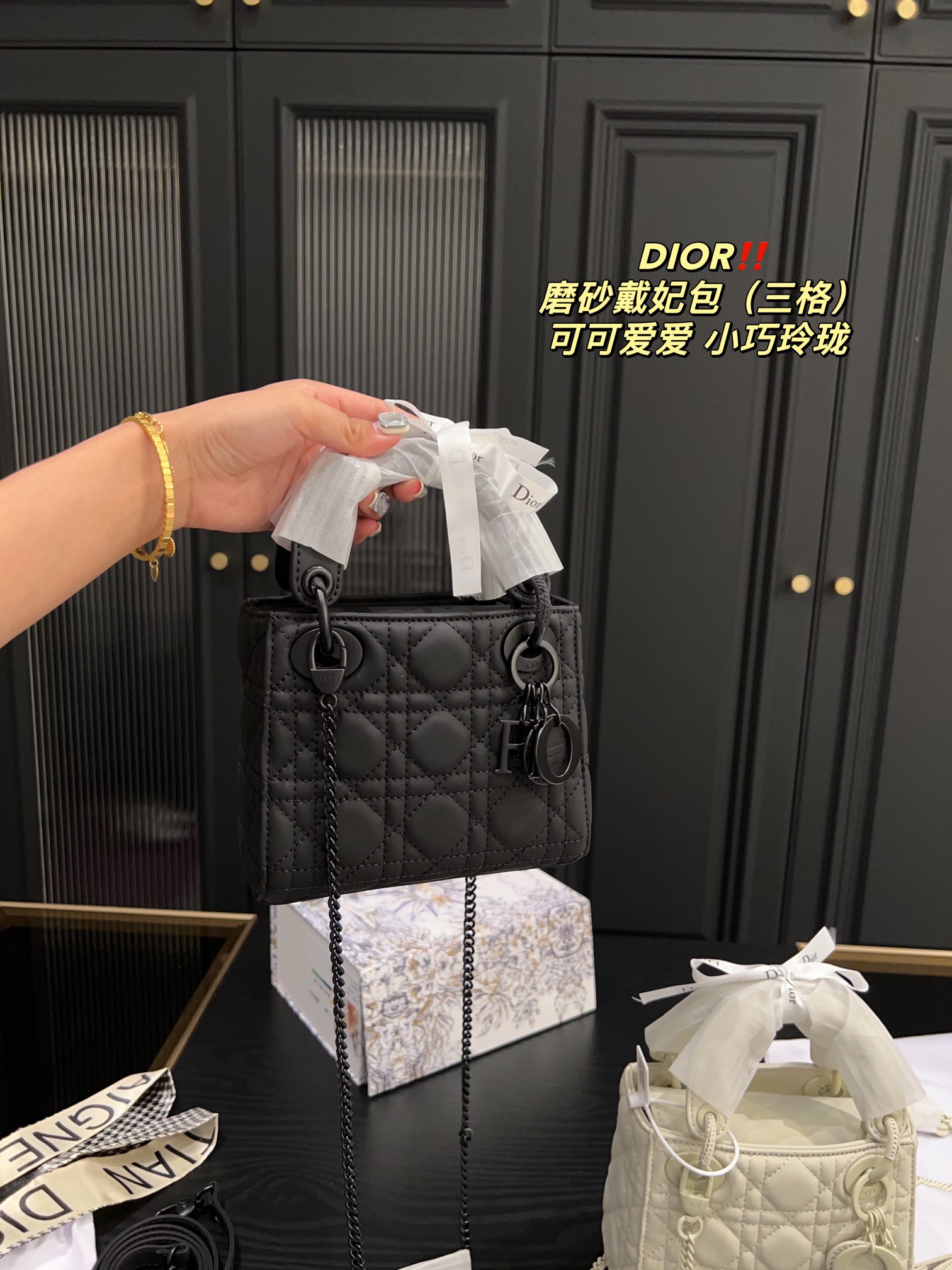 Dior Lady Sacs À Main Sacs À Bandoulière & À Épaule Givrée