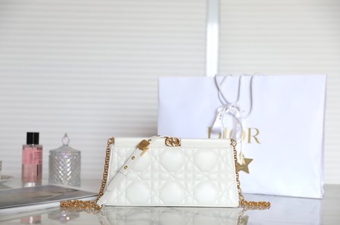 Dior Sale Clutches & Pouch Bags White Sheepskin Fashion Chains