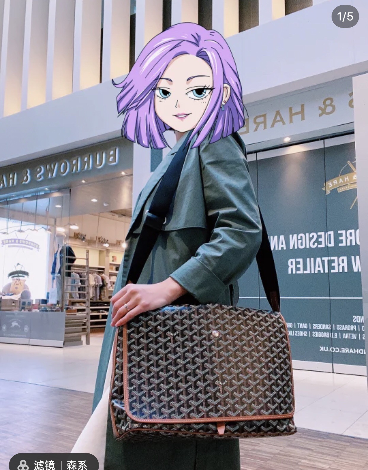 NO:199059,Brown upper body picture, Goya19860909棕色上身图,戈雅,Bag