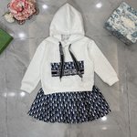 Dior Clothing Skirts Buying Replica
 Blue Pink Embroidery Fashion Hooded Top