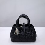 Dior Bags Handbags Luxury Shop
 Black Cowhide Spring/Summer Collection Casual