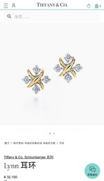Tiffany&Co. Wholesale
 Jewelry Earring Designer Fashion Replica