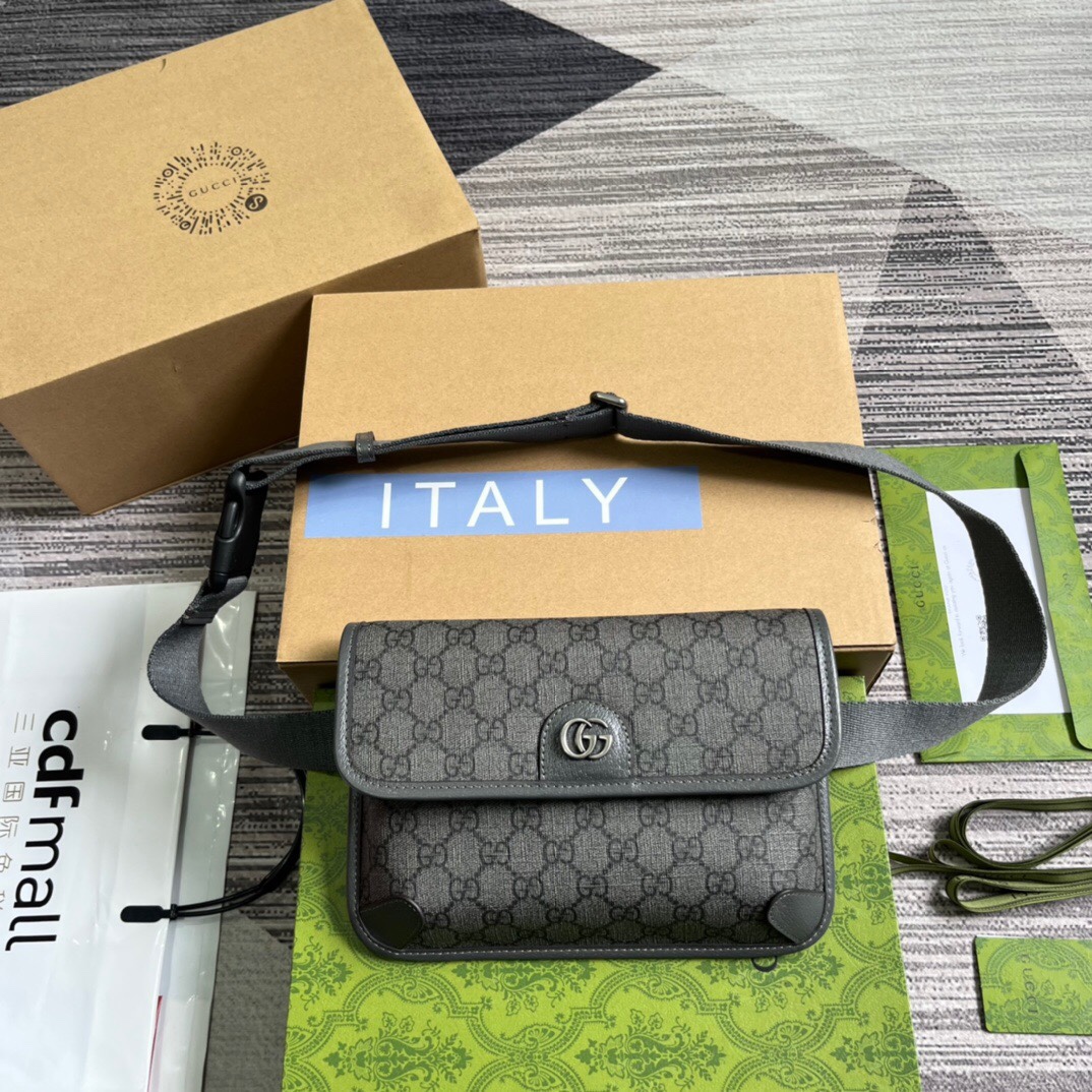 GUCCI Ophidia GG canvas small waist bag with Double G hardware and magnetic flap closure