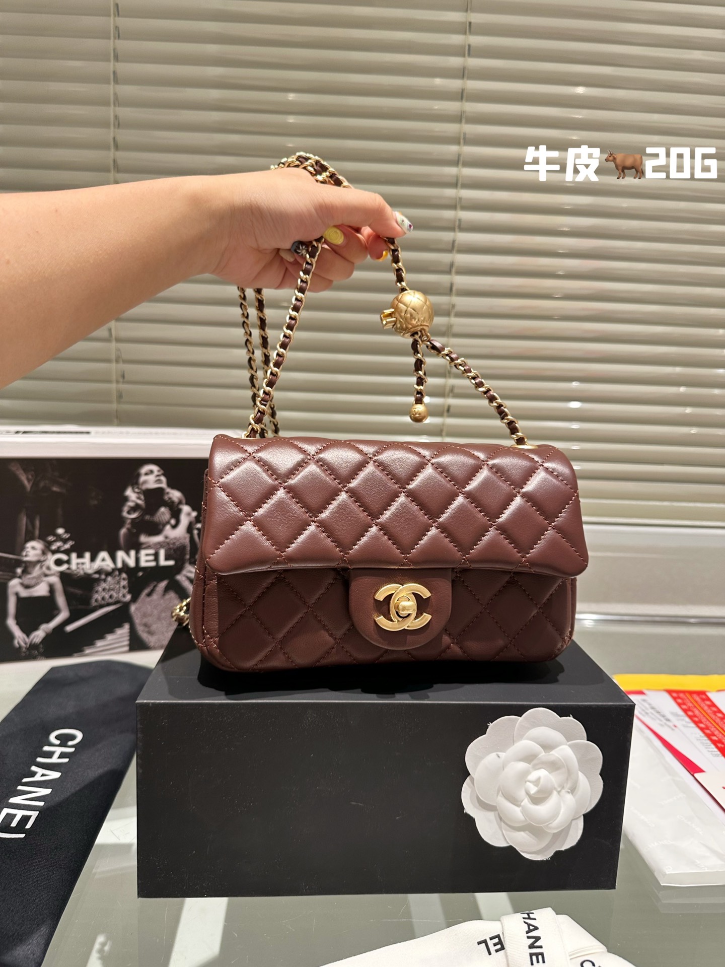 AAA Replica Designer
 Chanel Sacs À Bandoulière & À Épaule Blanc Peau de mouton La chaîne