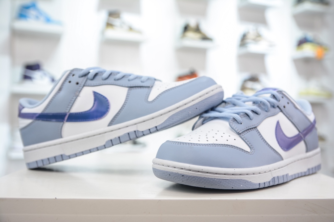 NK DUNK SB Low Blue and White FJ4668-400