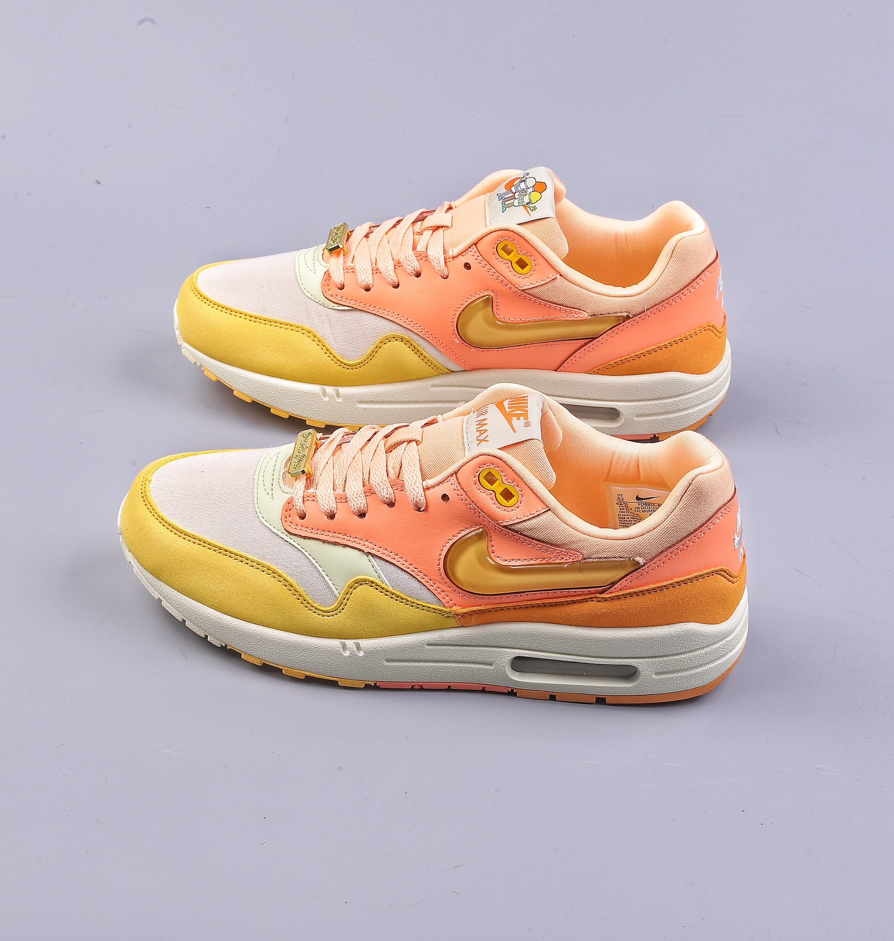 Nike Air Max 1 Retro Casual Running Shoes FD6955-800