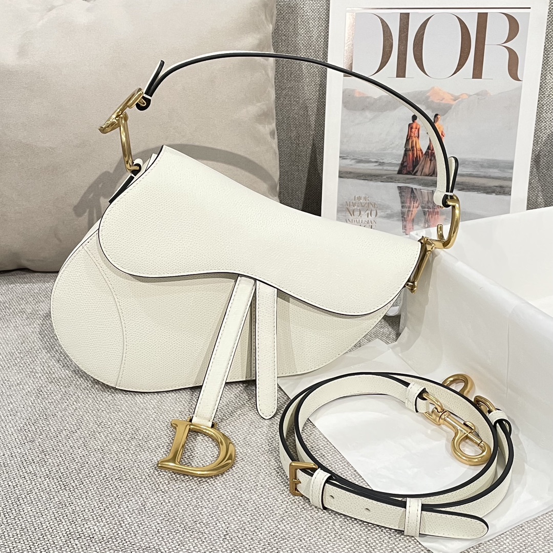 디올 새들 가방 Dior
