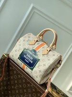 Louis Vuitton LV Speedy Bags Handbags Canvas M46749