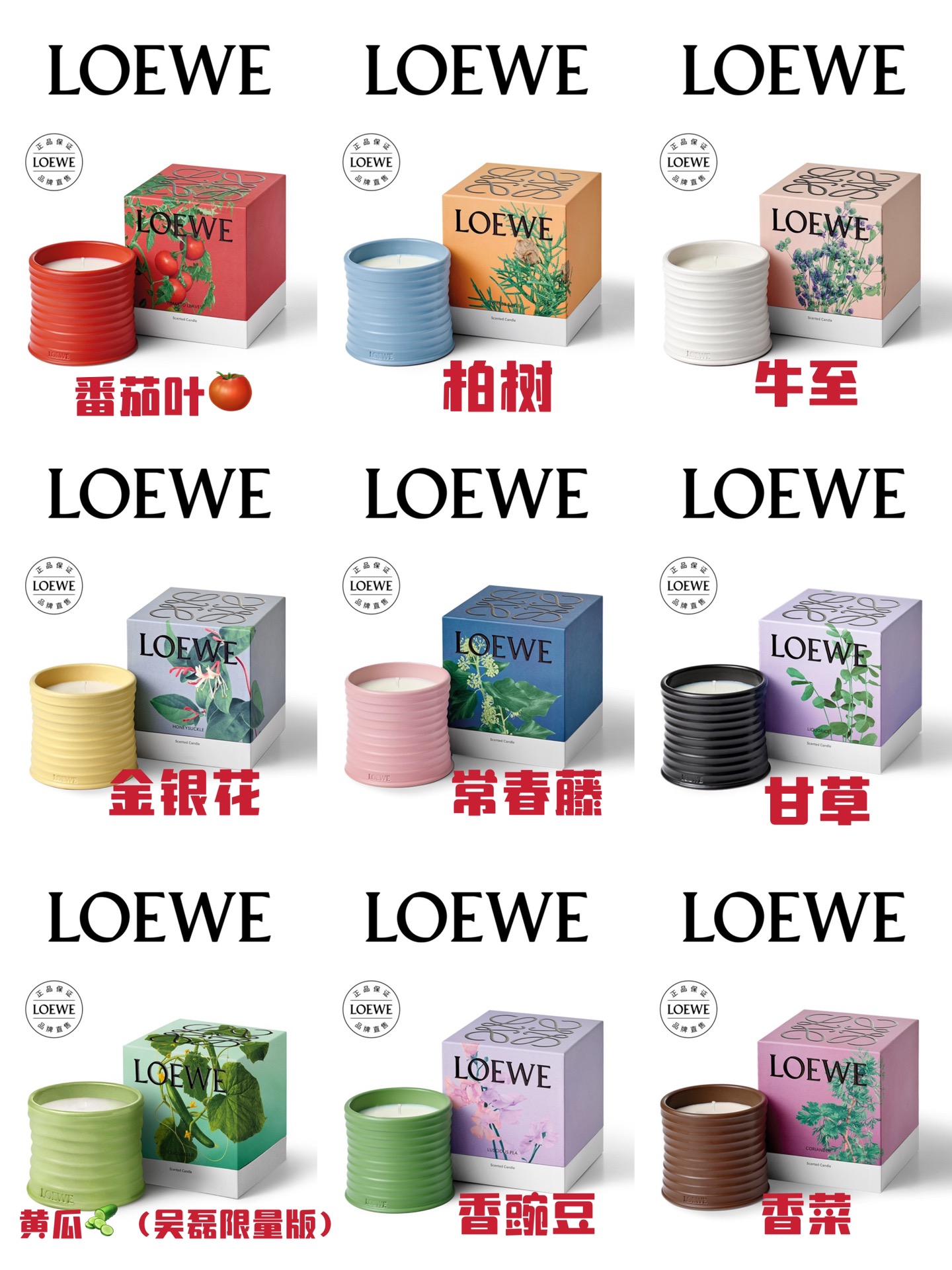 香氛蜡烛+礼盒外包装+Loewe礼袋 3