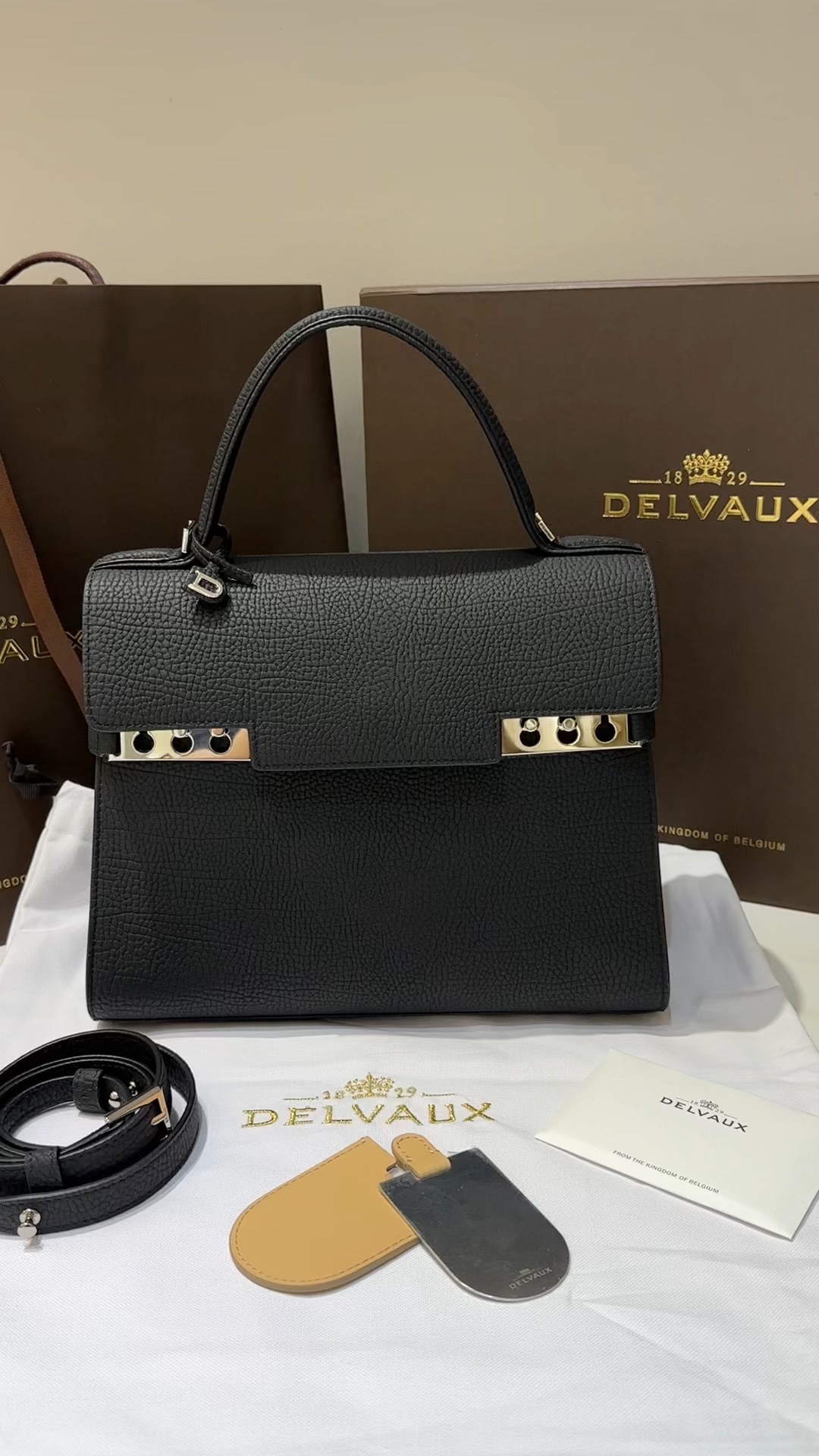 Louis Vuitton Delvaux original leather [Delvaux] Tempete MM cow neck pattern leather