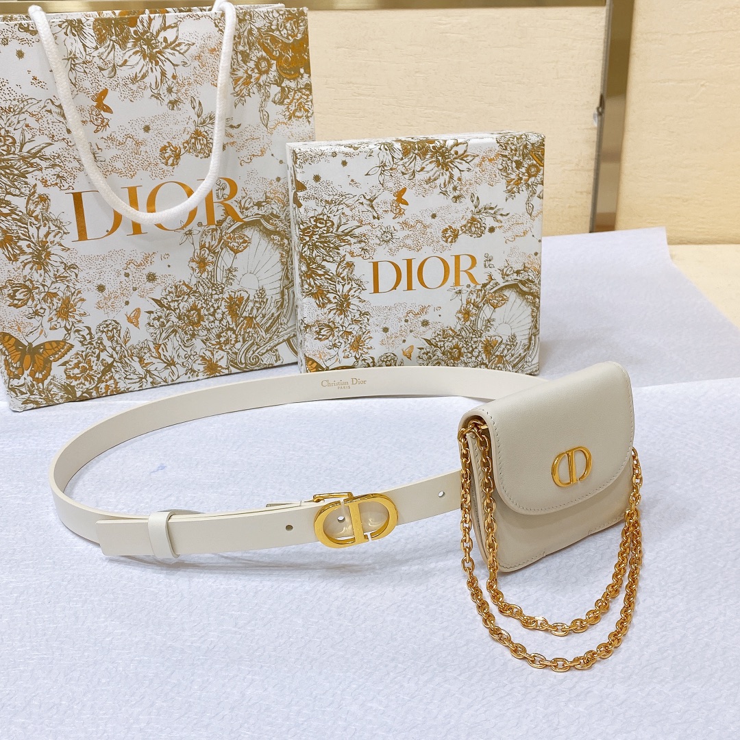 dior23新款DIORBOBBY腰带可拆卸小包饰以磁性扣环搭配装饰性CD扣金色马鞍包光滑牛皮2.0cm