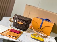 Louis Vuitton LV Bumbag Bags Handbags All Steel Mini M82335