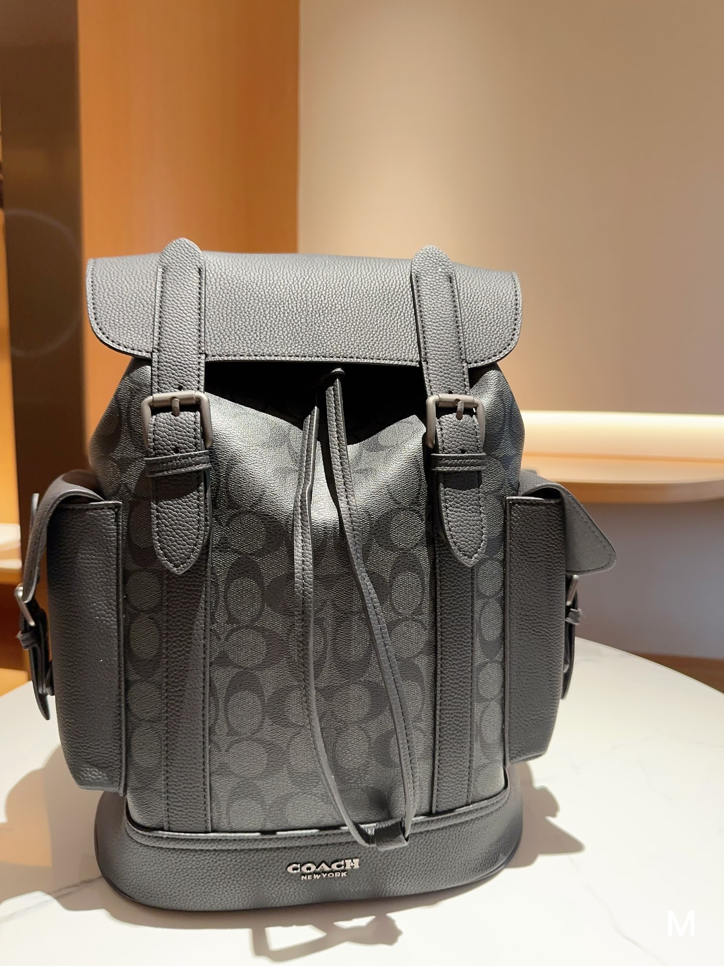 Wholesale 2023 Replica
 Coach Bags Backpack Men Hudson