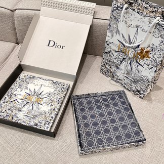 Dior Scarf Shawl Fall Collection