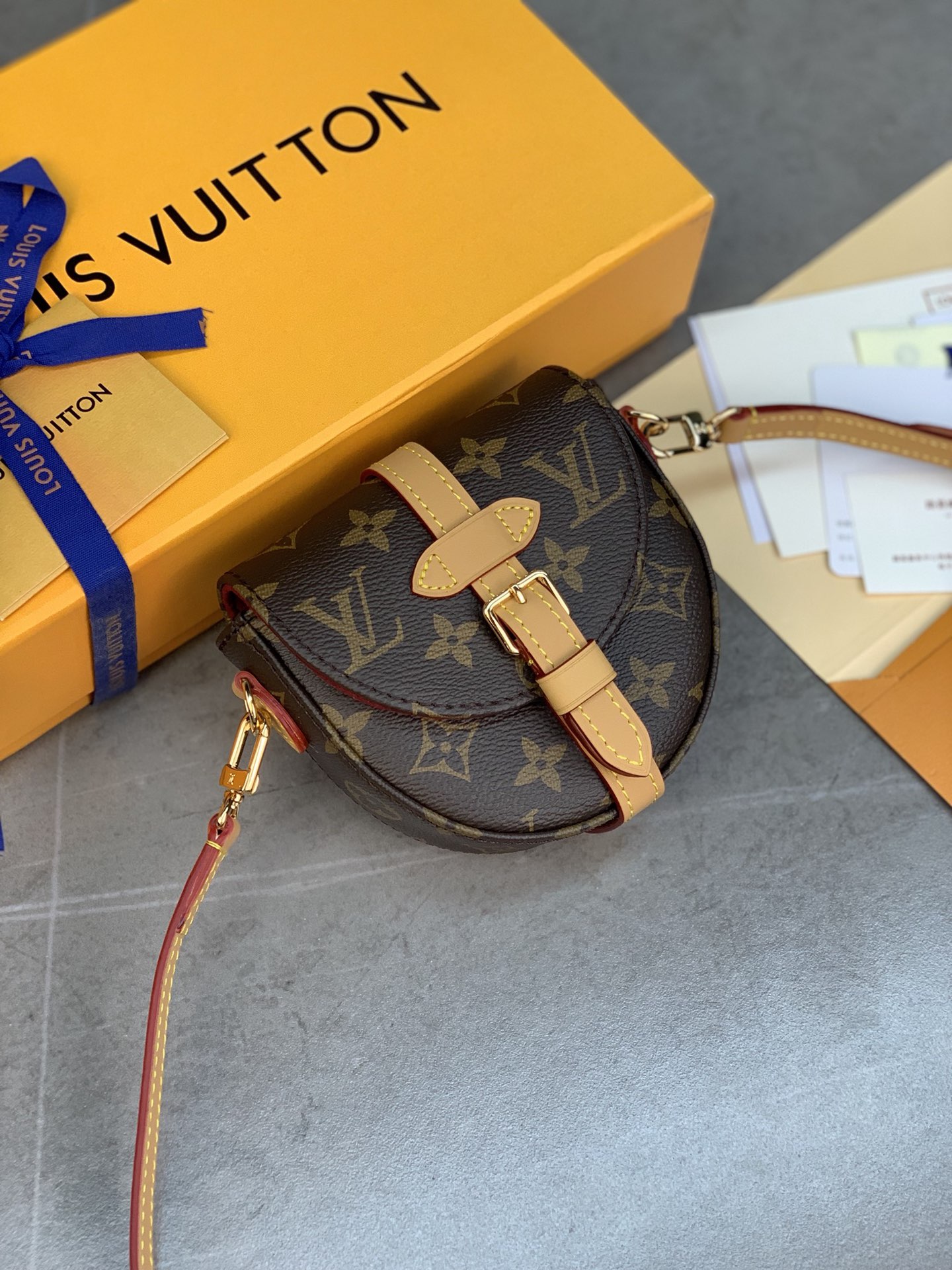 Louis Vuitton Handbags Saddle Bags Monogram Canvas Tilly Mini M46643