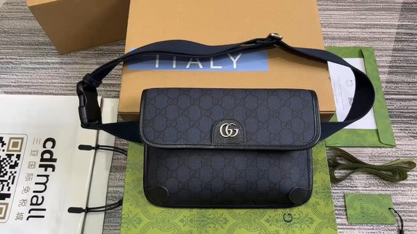 Gucci Ophidia Belt Bags & Fanny Packs