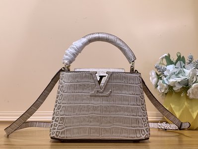 Louis Vuitton LV Capucines Bags Handbags Grey Light Gray Cowhide Crocodile Leather Goat Skin Sheepskin Mini N48865