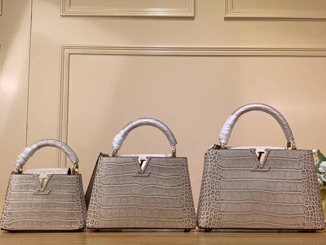 Louis Vuitton LV Capucines Bags Handbags Grey Light Gray Cowhide N48865