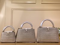 Louis Vuitton LV Capucines Bags Handbags Grey Light Gray Cowhide N48865