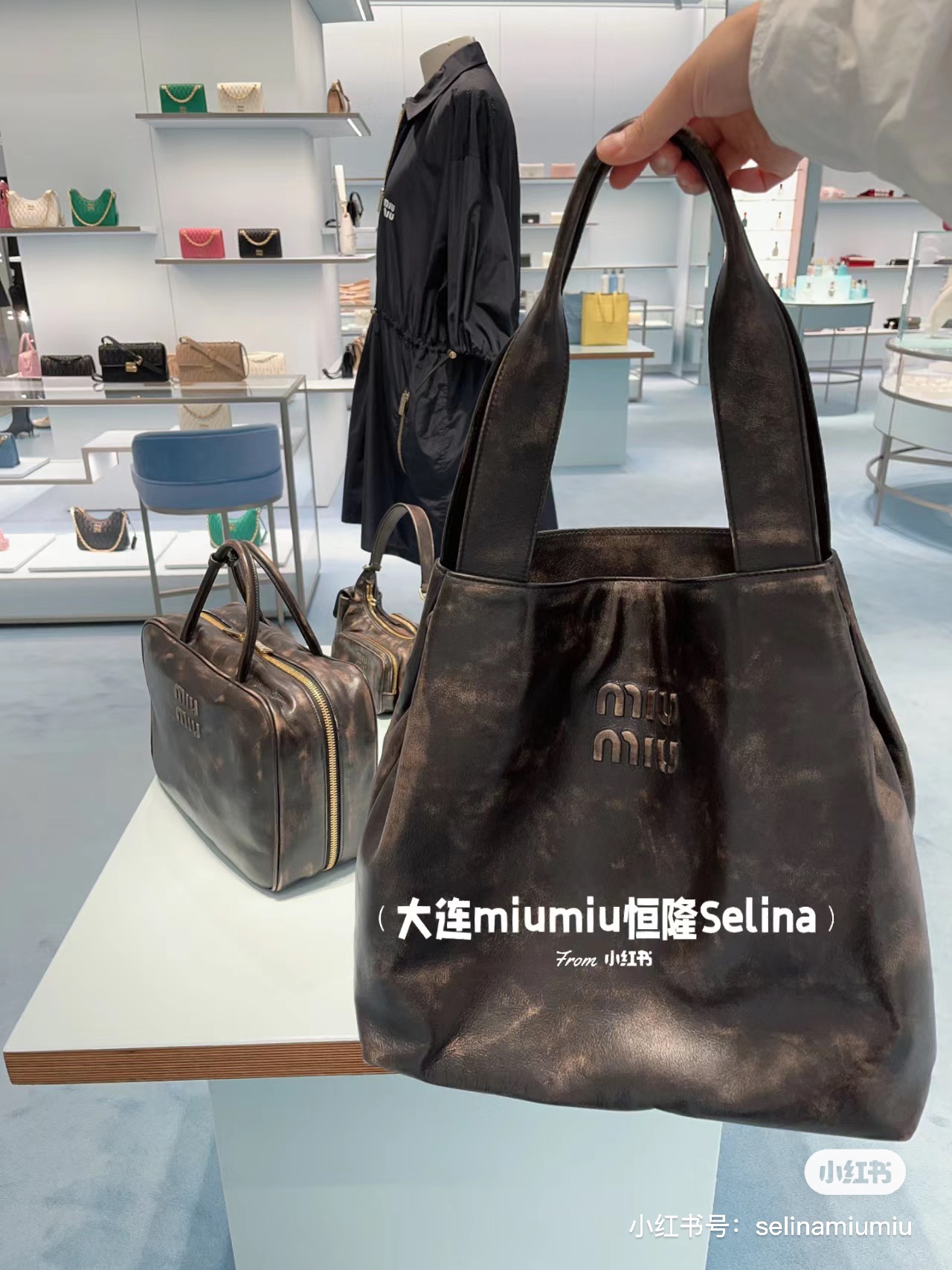 [Miu Miu Women