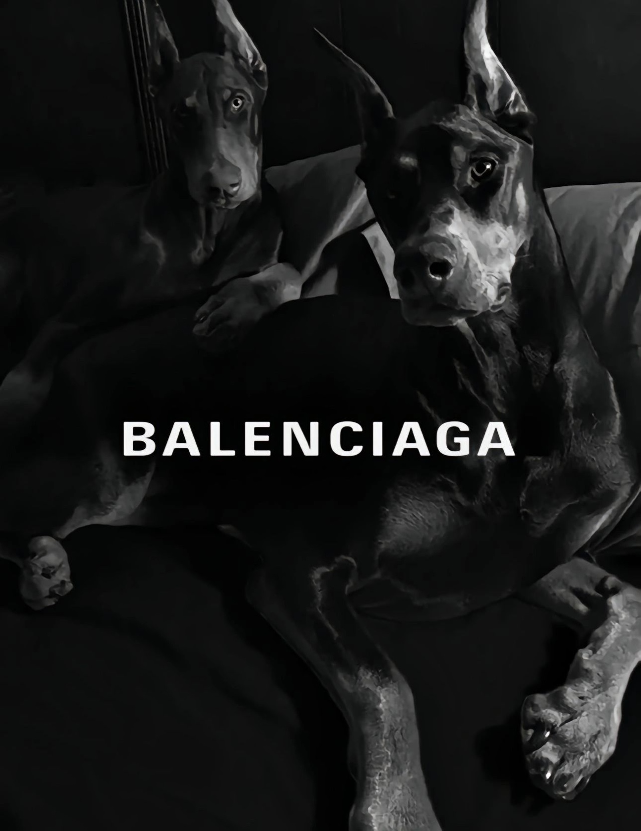 AY奢品线上商城/