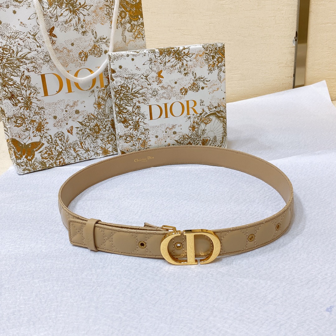 Dior Belts Sheepskin