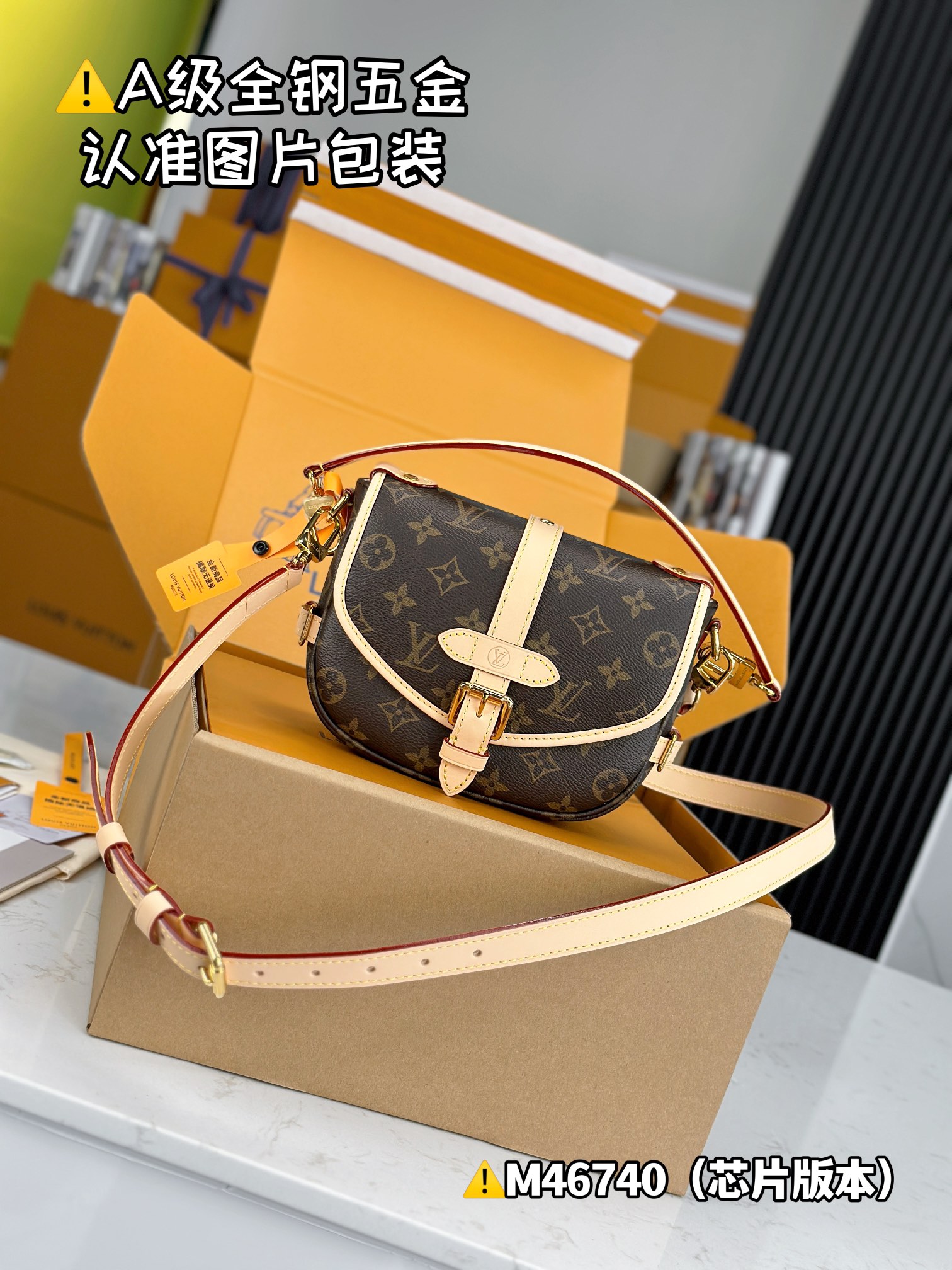 Louis Vuitton LV Saumur Bags Handbags All Steel M46740