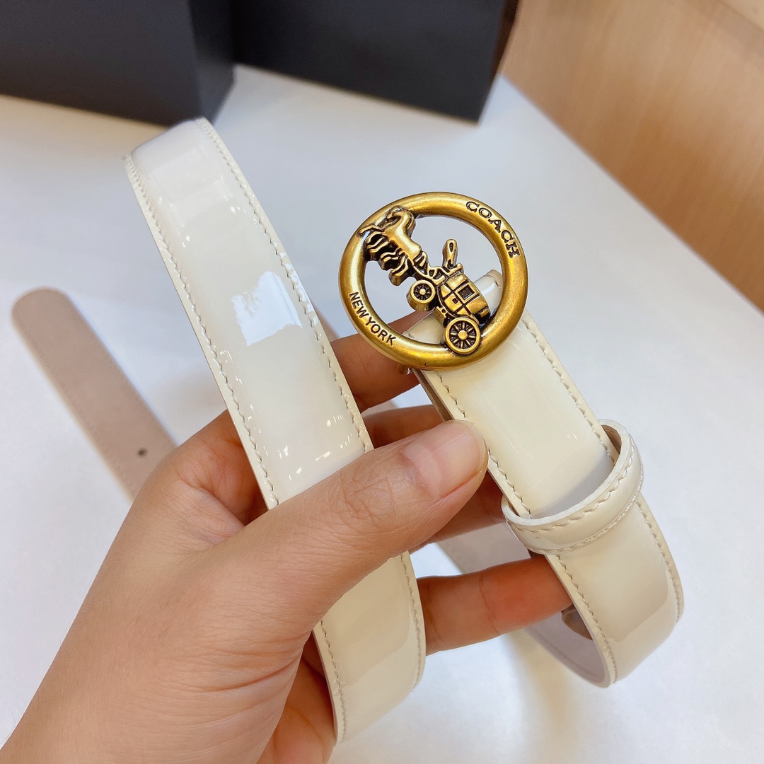 Elegant and Practical Coach 2023 Light Zhui Zai Prosthetic Quest Purchase Summary - 图片 5