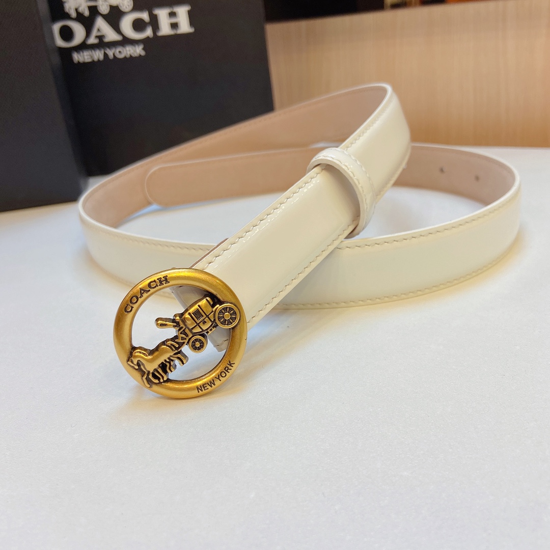 Elegant and Practical Coach 2023 Light Zhui Zai Prosthetic Quest Purchase Summary - 图片 6