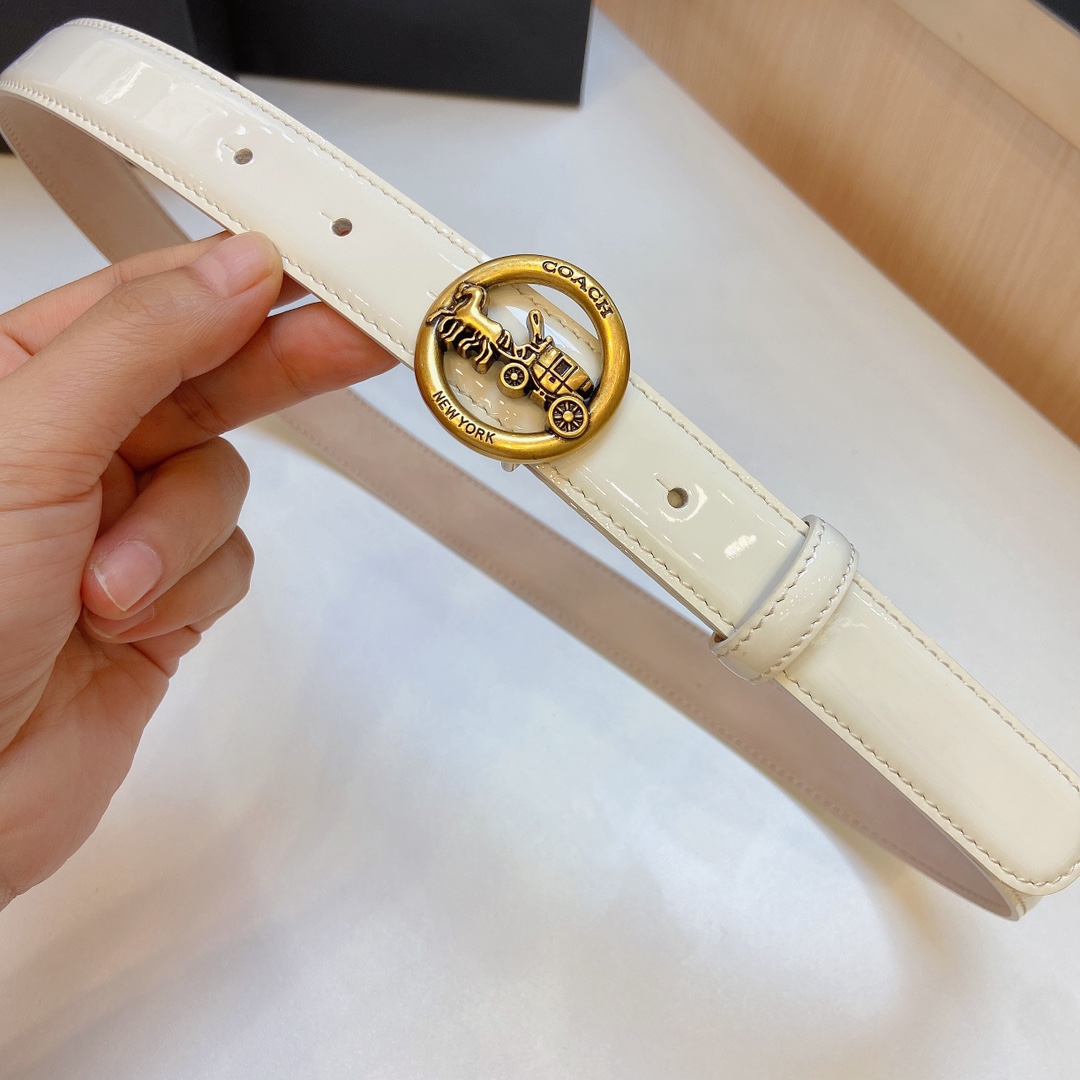 Elegant and Practical Coach 2023 Light Zhui Zai Prosthetic Quest Purchase Summary - 图片 2