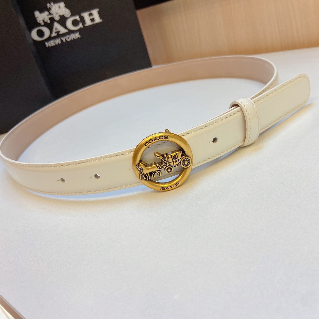 Elegant and Practical Coach 2023 Light Zhui Zai Prosthetic Quest Purchase Summary - 图片 1