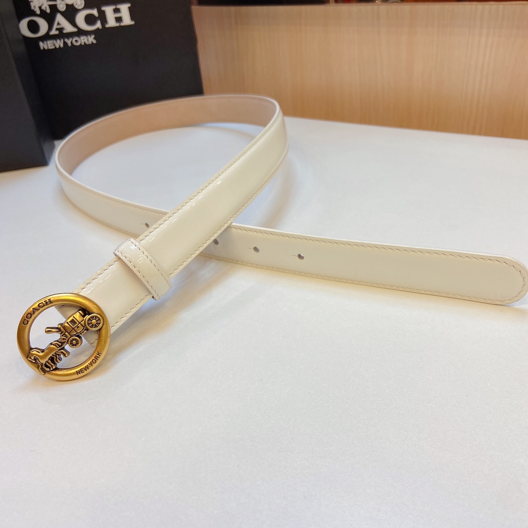 Elegant and Practical Coach 2023 Light Zhui Zai Prosthetic Quest Purchase Summary - 图片 3