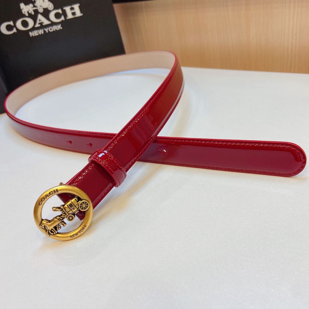 Elegant and Practical 2.5cm Wide Coach 2023 Prosthetic Quest Watch Band - 图片 3