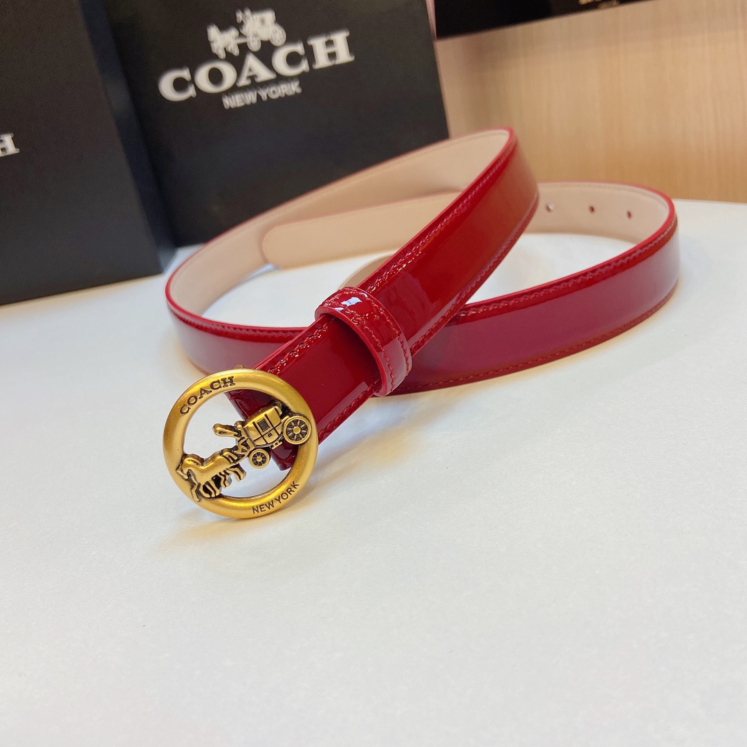 Elegant and Practical 2.5cm Wide Coach 2023 Prosthetic Quest Watch Band - 图片 6