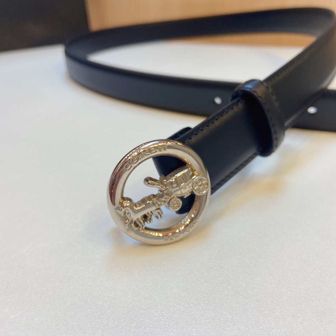 Stylish and Practical Coach 2023 Light Zhui Zai Prosthetic Quest Purchase Summary - 图片 4