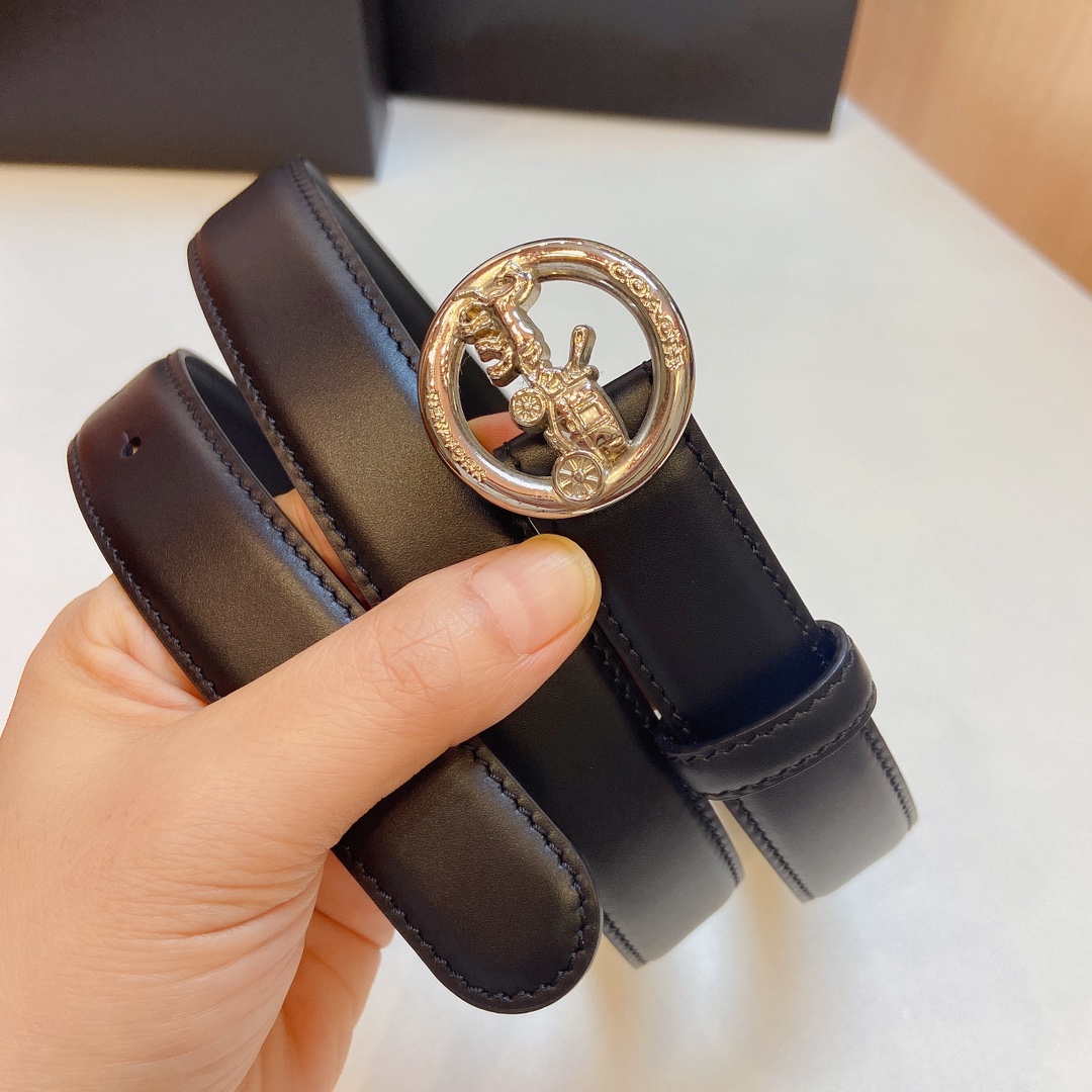Stylish and Practical Coach 2023 Light Zhui Zai Prosthetic Quest Purchase Summary - 图片 6