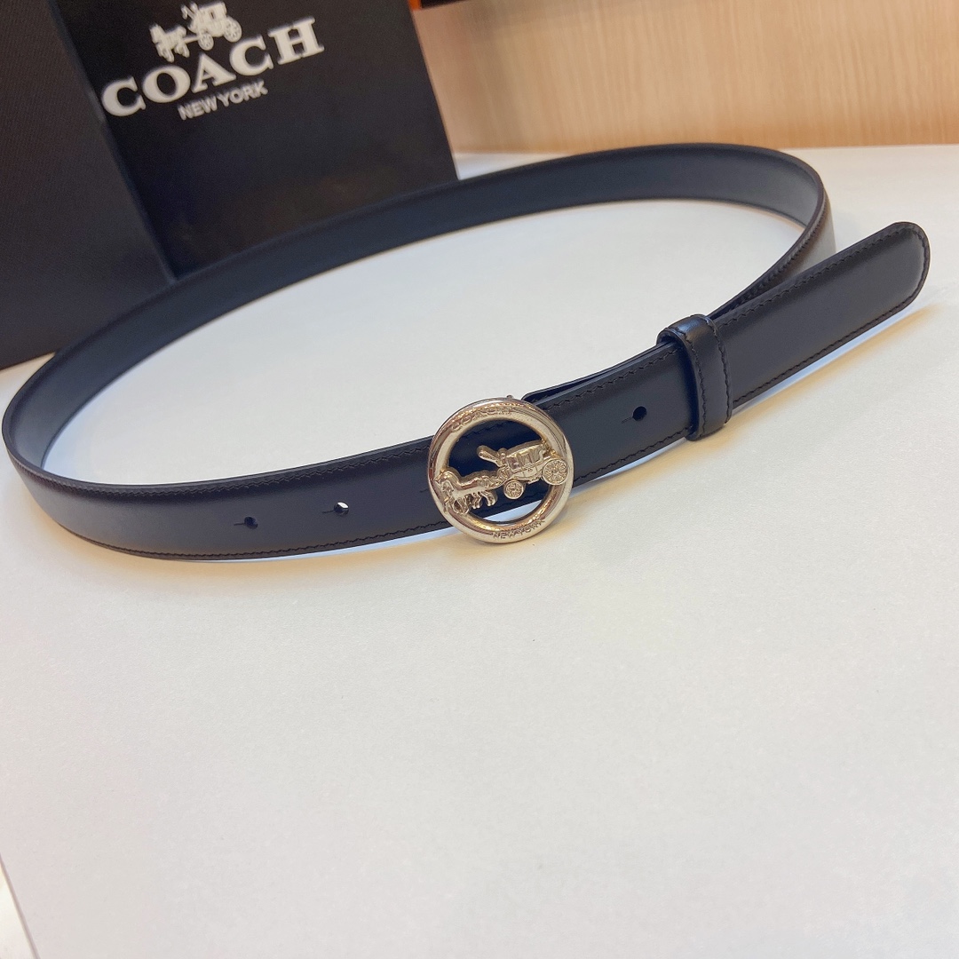 Stylish and Practical Coach 2023 Light Zhui Zai Prosthetic Quest Purchase Summary - 图片 1