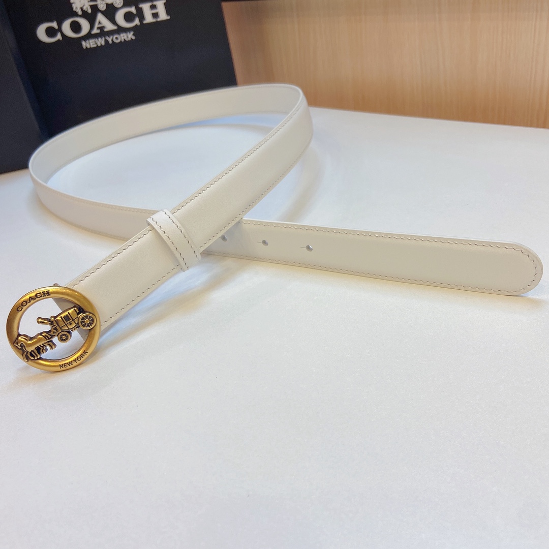 Stylish and Practical: Coach 2023 Light Zhui Zai Prosthetic Quest Watch Summary - 图片 3