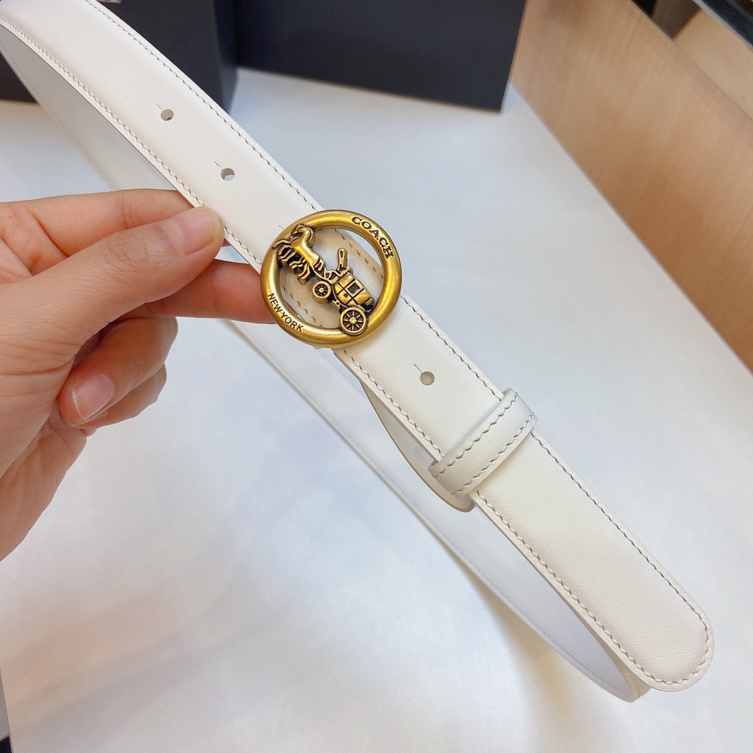 Stylish and Practical: Coach 2023 Light Zhui Zai Prosthetic Quest Watch Summary - 图片 2