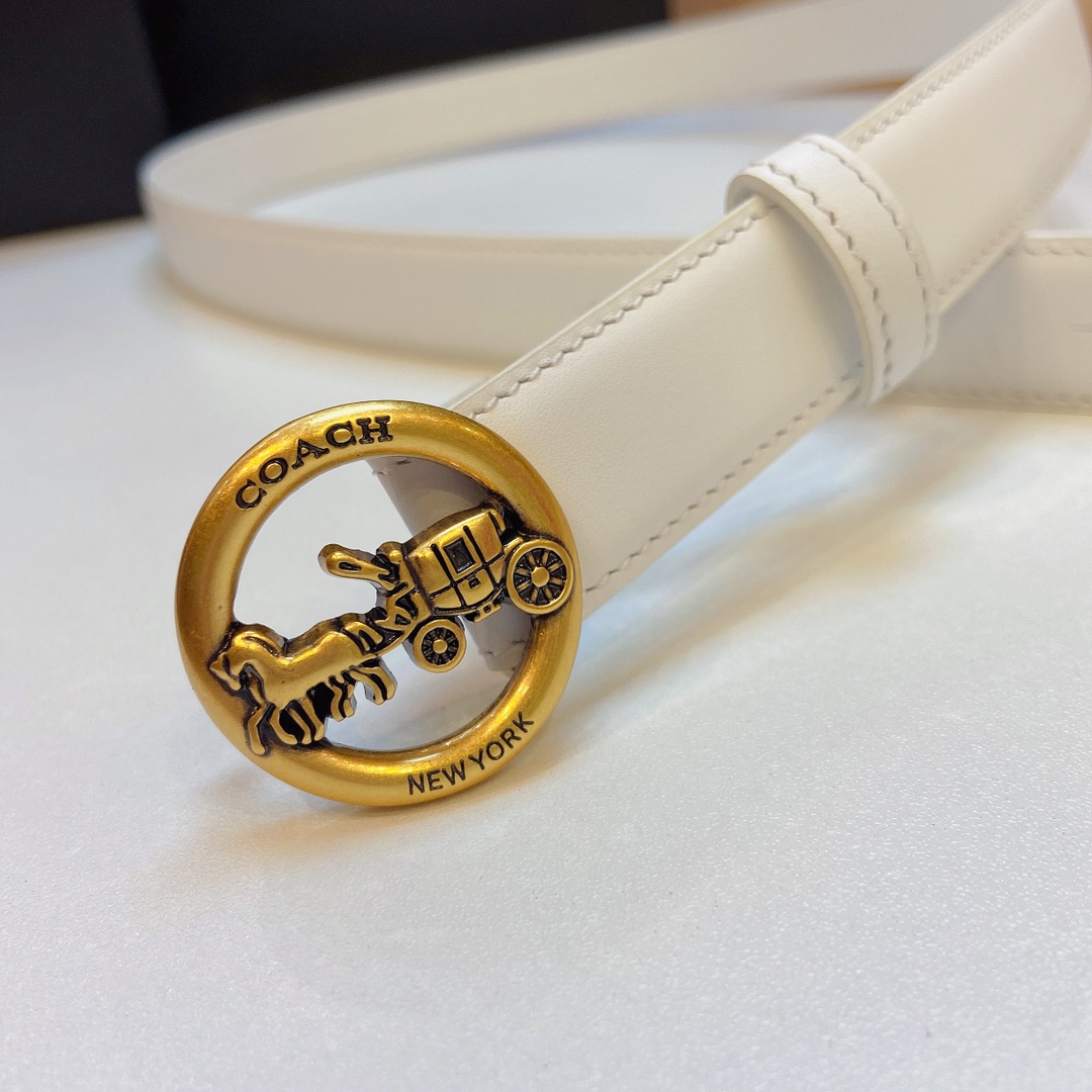 Stylish and Practical: Coach 2023 Light Zhui Zai Prosthetic Quest Watch Summary - 图片 4