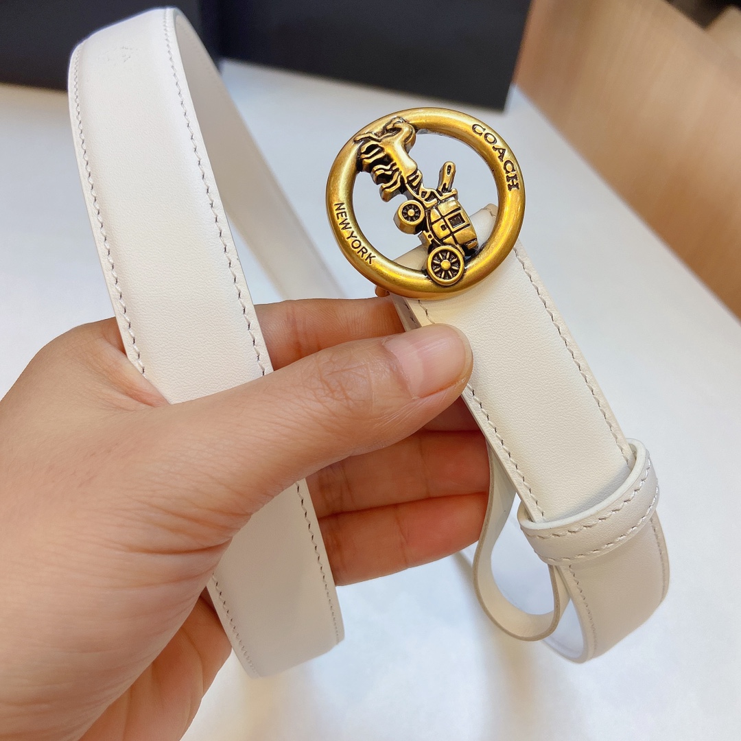 Stylish and Practical: Coach 2023 Light Zhui Zai Prosthetic Quest Watch Summary - 图片 5