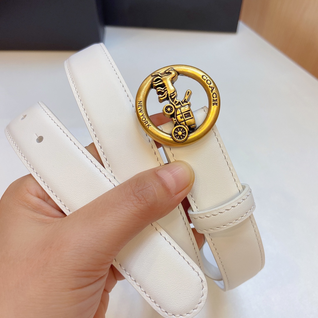 Stylish and Practical: Coach 2023 Light Zhui Zai Prosthetic Quest Watch Summary - 图片 6