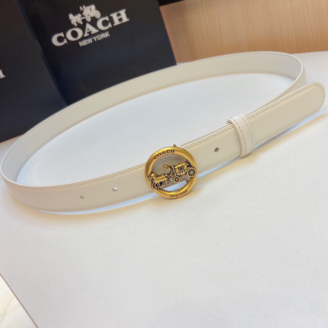 Stylish and Practical: Coach 2023 Light Zhui Zai Prosthetic Quest Watch Summary