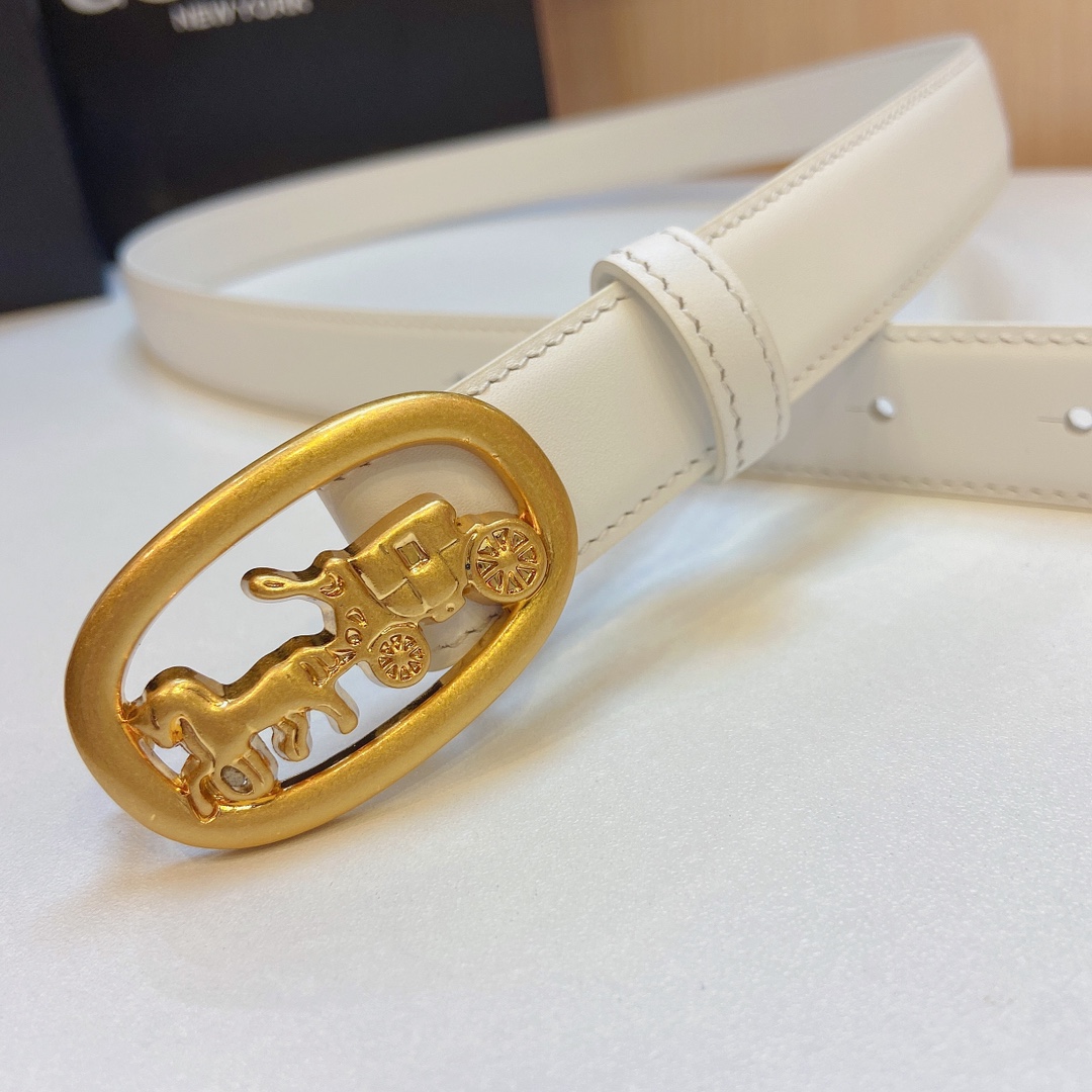 Elegant and Practical 5-Button Coach 2023 Prosthetic Quest Watch Strap, 2.5cm Width - 图片 4