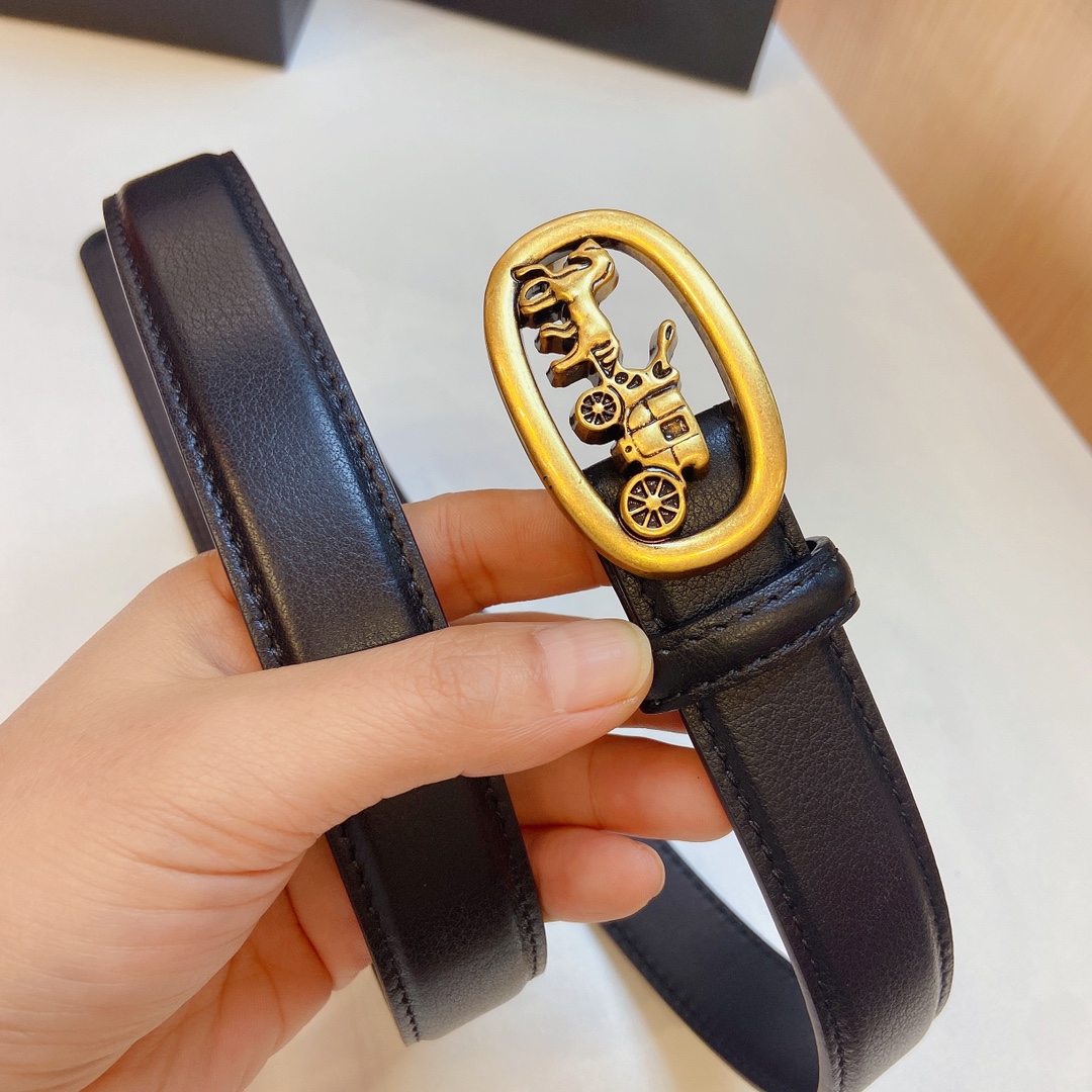 Elegant and Practical 2023 Coach Prosthetic Quest Watch with Refined Design - 图片 5