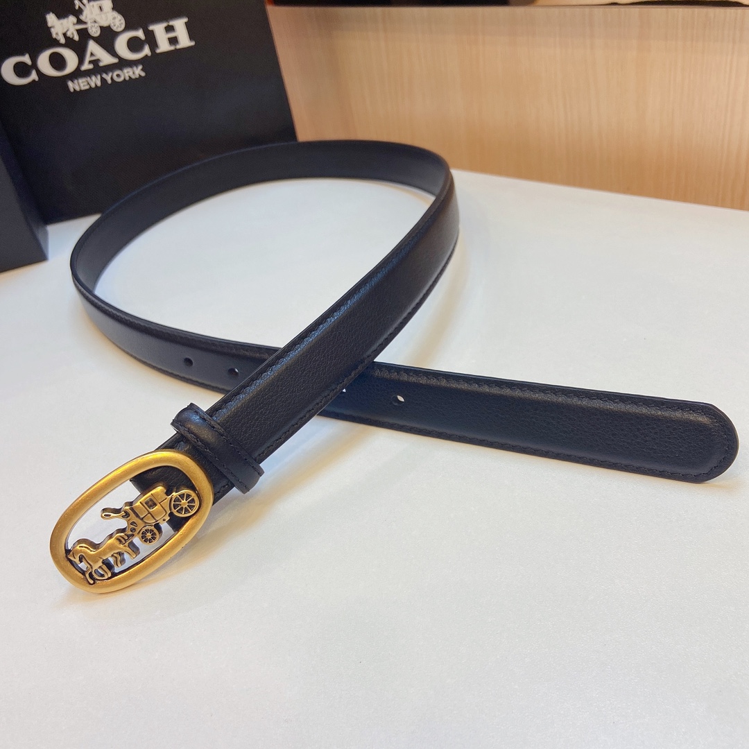 Elegant and Practical 2023 Coach Prosthetic Quest Watch with Refined Design - 图片 3